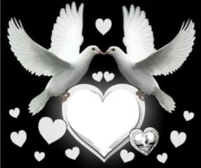 aime la vie ET AIME BIEN SON HOMME 