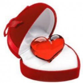 Je cherche un homme beau charmant qui ne traite pas les rencontres du net de mauvaise chose 