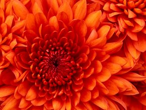 reccherche l'amour sincère bien en famille et un garçon qui aime sa femme