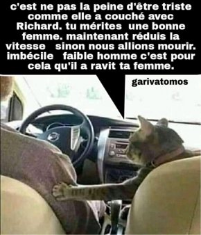 rencontre amoureuse avec une femme pour passer le restant de ma vie