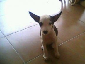 recherche femme stable serieuse intelligente qui cherche cekel desir dans la vie