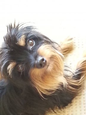 Moi je recherche tout d'abord a entamer une relation amicale je veux dire par la que je veux mieux c