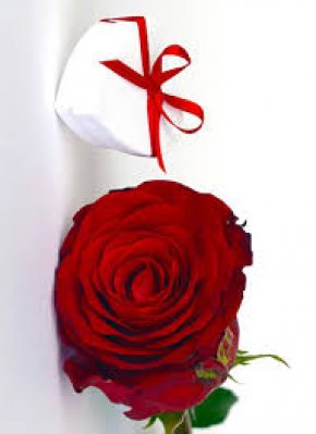 Recherche d'une relation. Amoureux sincères et durable voir mariage