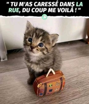 Je recherche quelqu'un de compréhensible avec qui je pourrais communiquer et sympathiser