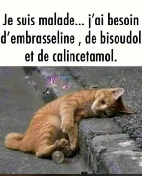 Revivre en confiance avec une seule et unique personne