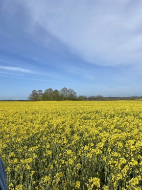 Cherche une amie avec qui on peut se consoler en cas de tristesse et jouir ensemble en cas de joie