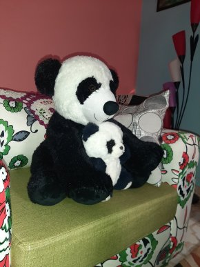 Cherche un homme pour une relation amicale pouvant aboutir au mariage. Blagueur et aventurier passe 